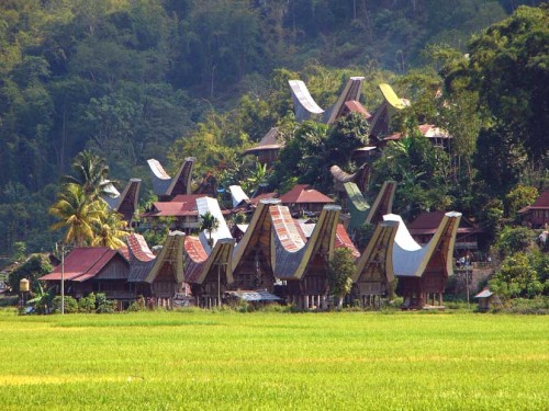 celebes tana toraja traditional house