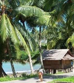 nias island tour package
