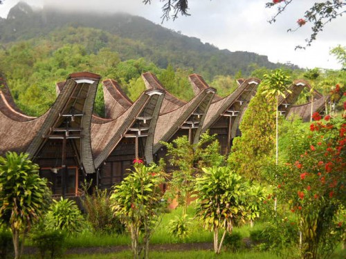 Tana Toraja Celebes South Sulawesi