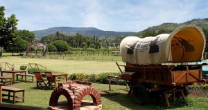 Ilustrasi tempat wisata ala koboi di De'Ranch Lembang, Bandung (foto : travel.detik.com)