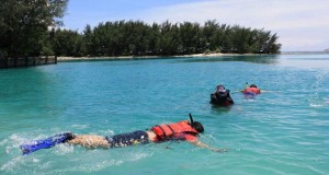 Snorkeling di Tempat wisata Pulau Pramuka Kepulauan Seribu (foto : pulaupramuka.com)