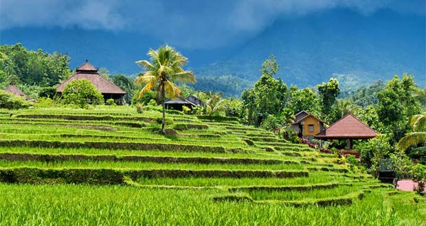 10 Tempat Wisata Di  Gianyar Bali  Yang Menarik Dan Terkenal