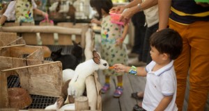 Tempat-Wisata-Anak-Di-Bandung