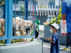 Suraloka-Interactive-Zoo-Kaliurang-Jogja